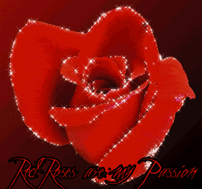 altquot;Rose and Flower flowers pictures roses for orkut. altquot;Rose and Flower