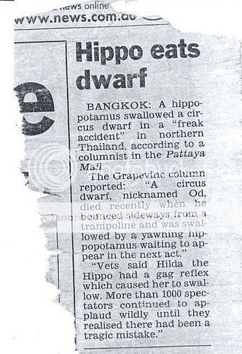 yay hippos kill people year african animal lmao Hippo Eats Dwarf Pictures, Images and Photos