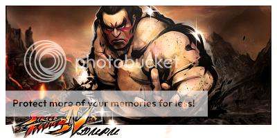 StreetFighter4signature4.png