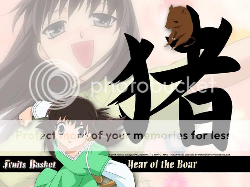 fruitsbasketboargd3.jpg picture by tohruhonda_92